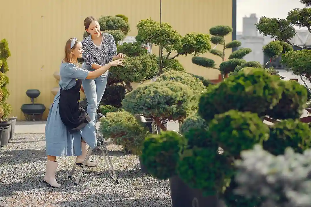 femmes-travaillant-dans-une-serre-avec-des-arbres-verts femmes-travaillant-dans-une-serre-avec-des-arbres-verts