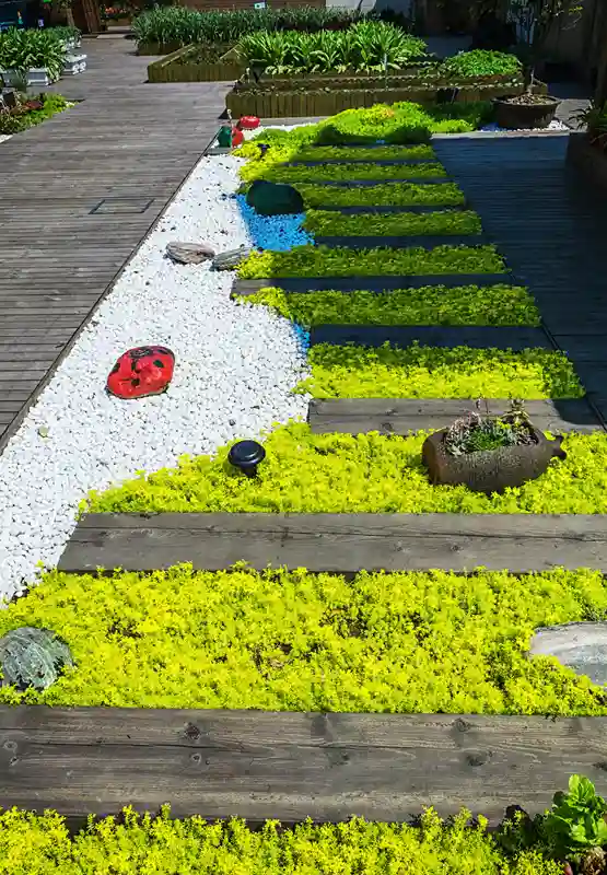 fond-d-herbe-RDG-Agence-design fond-d-herbe-RDG-Agence-design